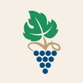 Grape icon or symbol. Design element for winemaking, viticulture, wine house. Colorful vector illustration of bunch of grapes